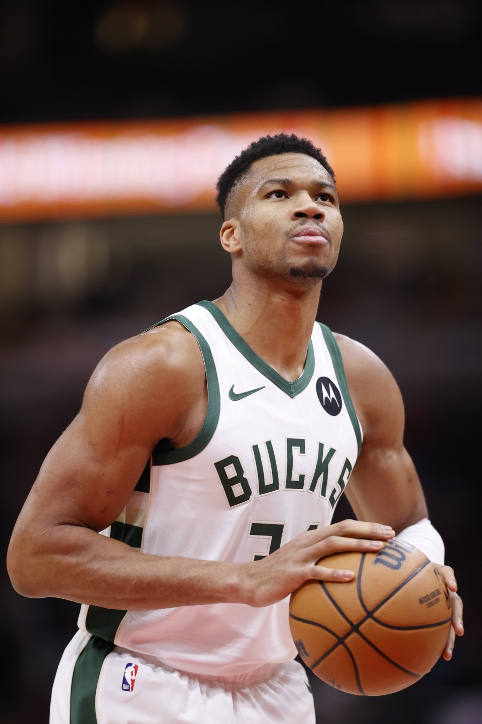 W的提速体 W的提速体